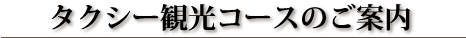 タクシー観光コースのご案内
